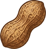 pooml logo: a hand-drawn peanut